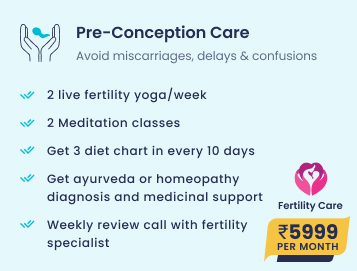 Natural Pregnancy Program
