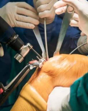 Orthopedics & Joint Replacement