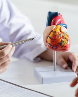 Non-Invasive Cardiology
