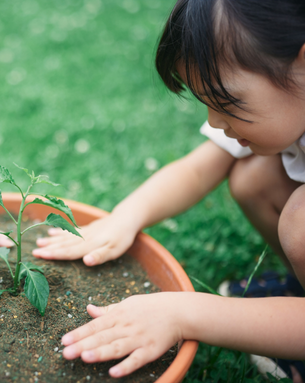Growth Monitoring and Nutritional Guidance