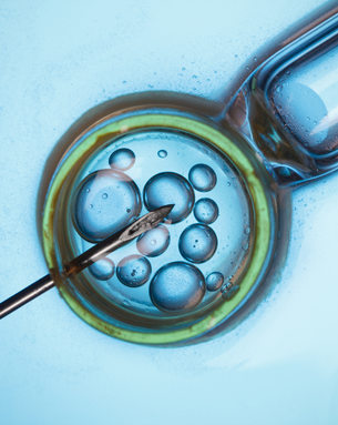 Cutting-edge fertility treatments and minimally invasive procedures designed to help you conceive with confidence