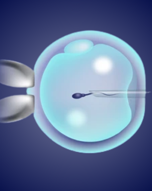Cutting-edge fertility treatments and minimally invasive procedures designed to help you conceive with confidence