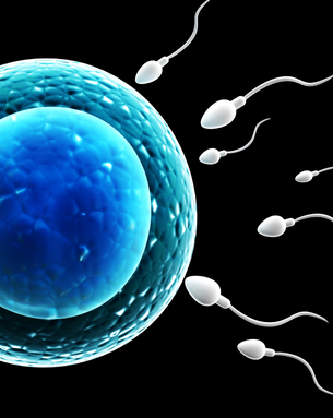 Cutting-edge fertility treatments and minimally invasive procedures designed to help you conceive with confidence