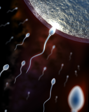 Cutting-edge fertility treatments and minimally invasive procedures designed to help you conceive with confidence