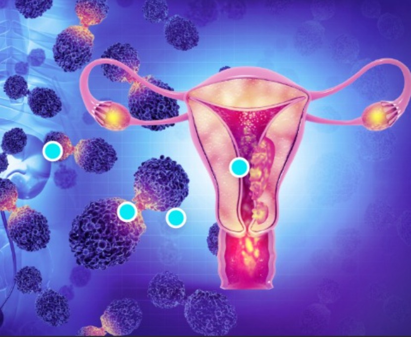 Comprehensive Women’s Health Solutions