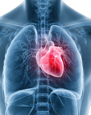 Complete Vascular Treatment Spectrum