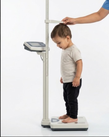 Holistic Healthcare Services Focused on Safety and Wellbeing