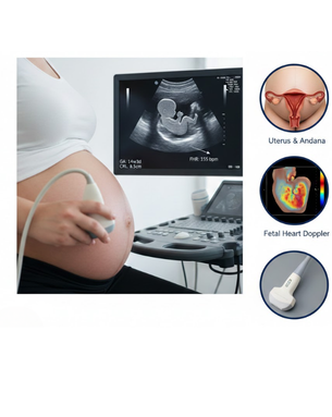 Holistic Healthcare Services Focused on Safety and Wellbeing
