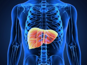 Liver Diseases