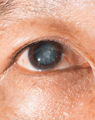 Expert Ophthalmology and Dentistry Services, Enhancing Your Eye Health and Oral Wellness