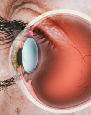 Expert Ophthalmology and Dentistry Services, Enhancing Your Eye Health and Oral Wellness